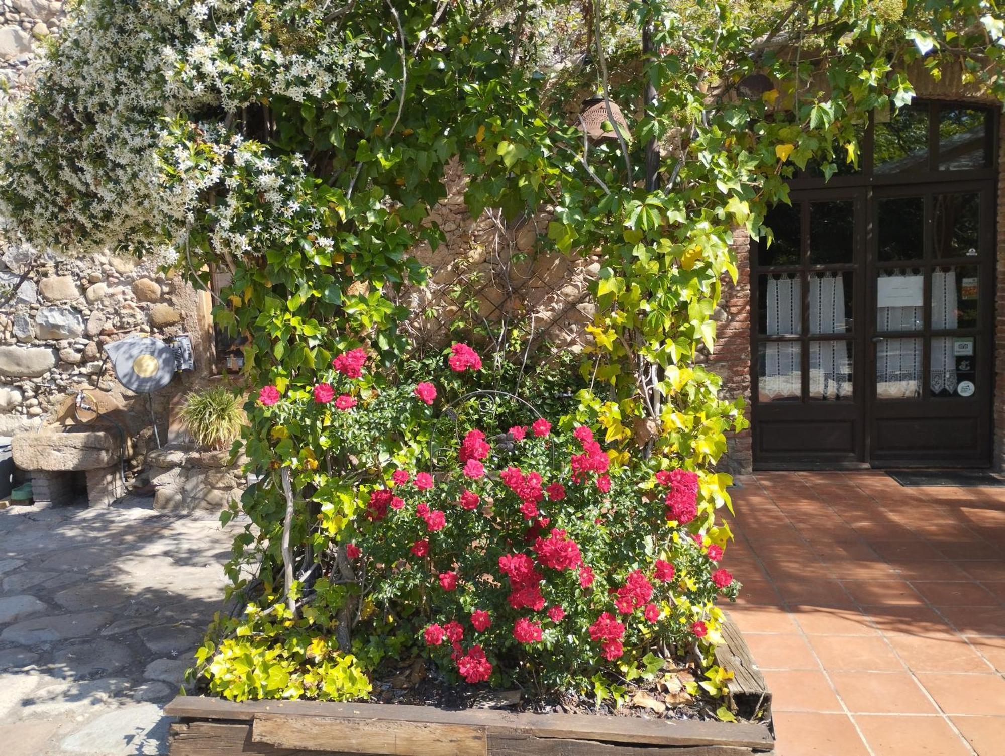 Casa Rural Can Jepet La Cellera de Ter Ngoại thất bức ảnh