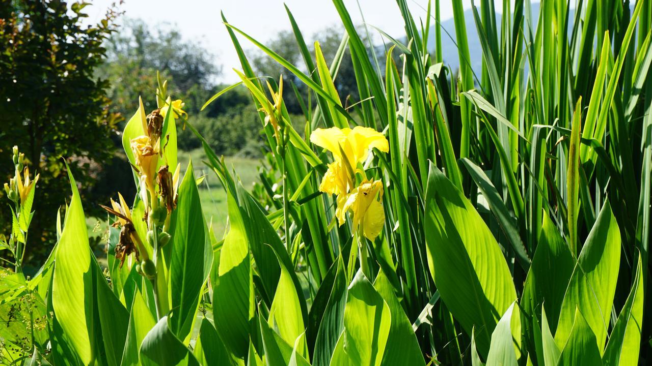 Casa Rural Can Jepet La Cellera de Ter Ngoại thất bức ảnh
